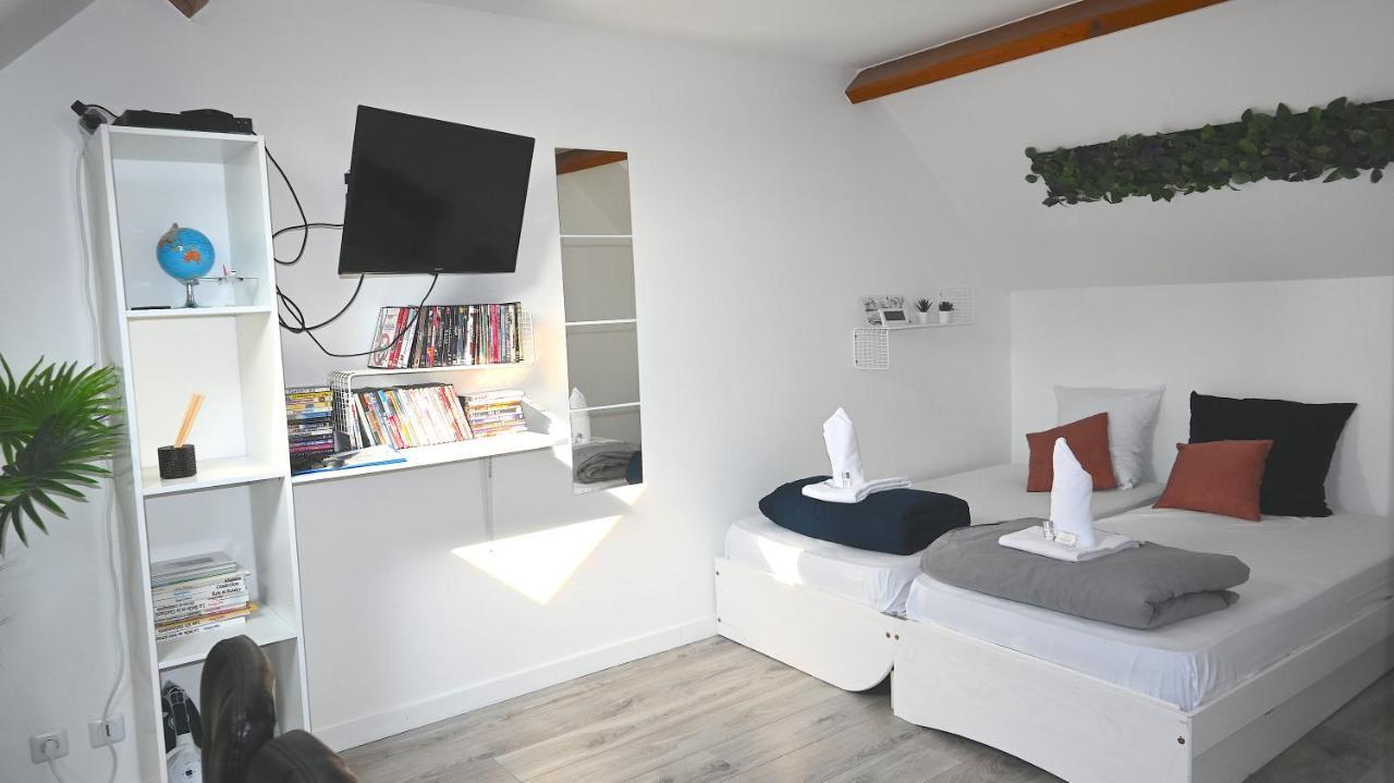 Cosy Chambre Chez Habitant 5Mn Aeroport Roissy Cdg Le Mesnil-Amelot Exterior foto
